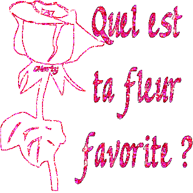 moi je lé aime toute mé la rose c ma préféré mé lé otre ossi son tro belle 